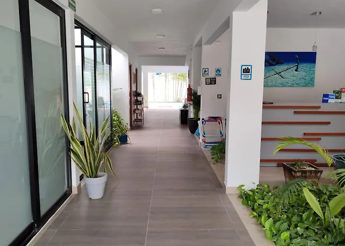 Aparthotel Vela's Ocean Front