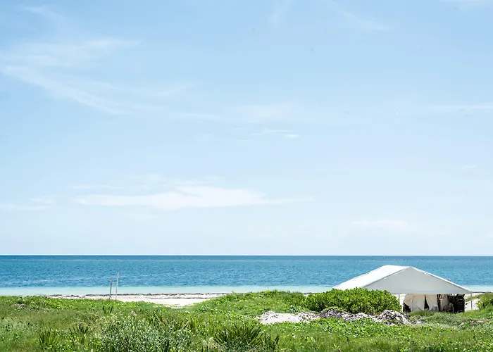 Vela's Ocean Front